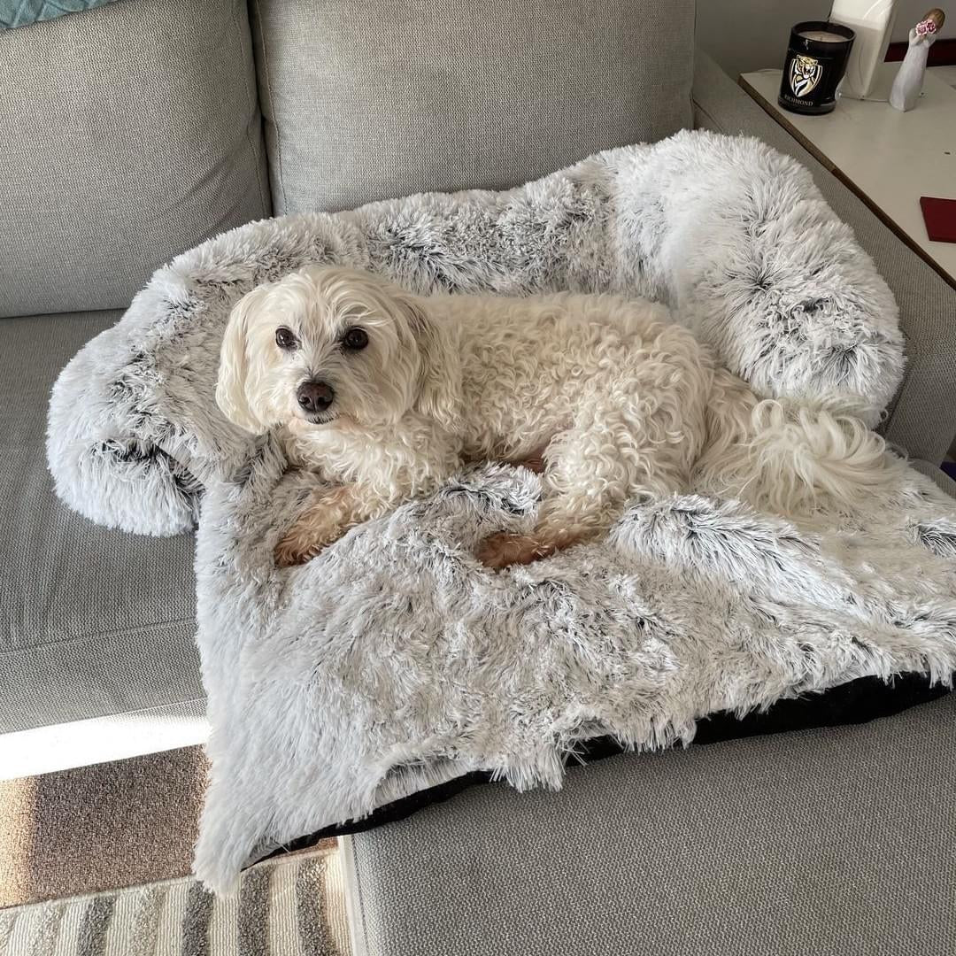 Dog Bed