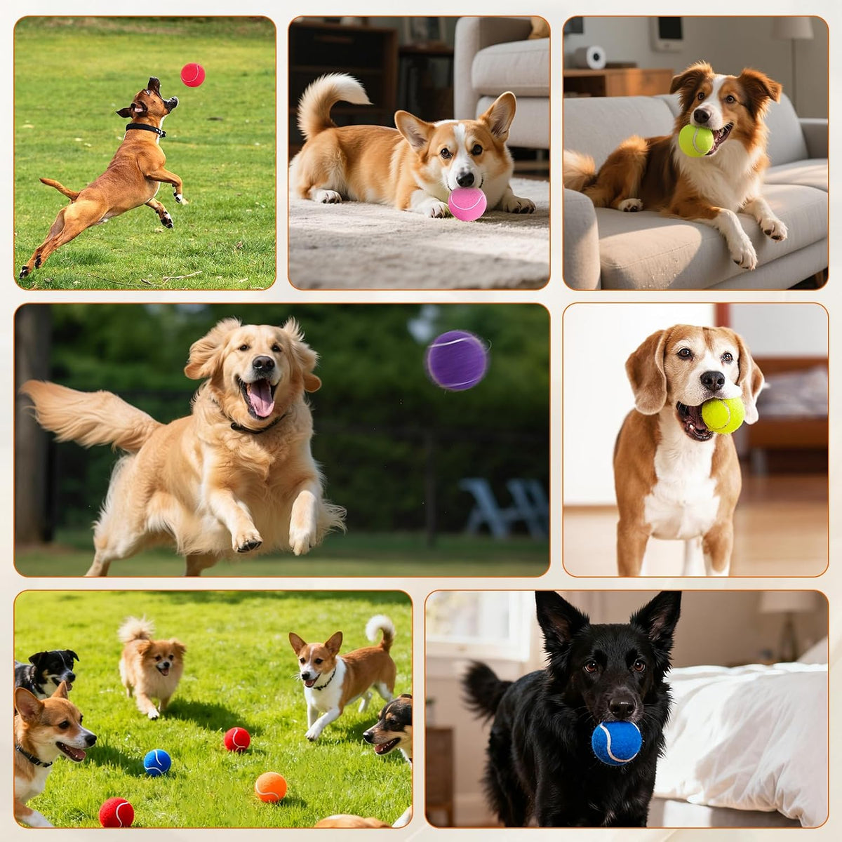Colorful Tennis Balls for Dogs, 2.5 Inches, 16 Pack, Non Squeaky