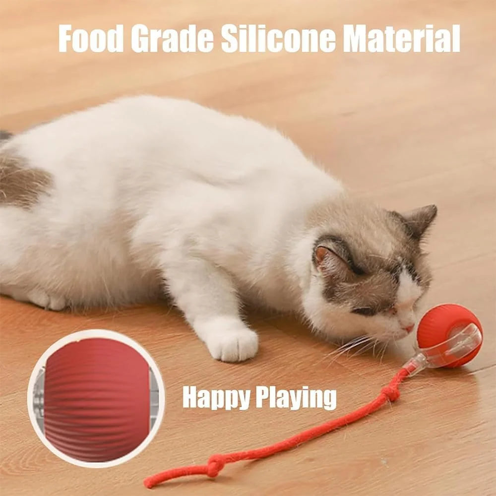 Chewie Ball, Chewie Viral Rolling Ball, Interactive Cat Ball Toy, Chewie Ball for Dogs, Chewie Smart Automatic Rolling Pet Ball, Automatic 360° Rotating Rolling Ball with USB Charging