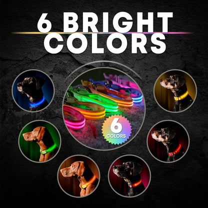 LED Dog Collar USB Rechargeable - Bright & High Visibility Lighted Glow Collar for Pet Night Walking - Weatherproof, in 6 Colors & 6 Sizes (Green Large)