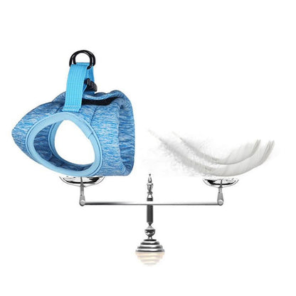 Cat Harness and Leash for Walking, Escape Proof Soft Adjustable Vest Harnesses for Cats, Easy Control Breathable Jacket, Blue, (L) for 10-15.5 Lb Cat