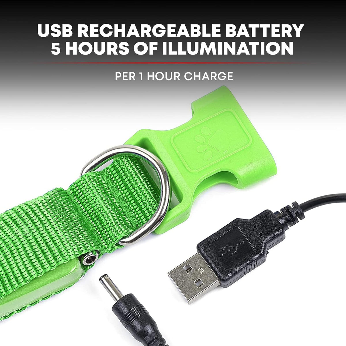 LED Dog Collar USB Rechargeable - Bright & High Visibility Lighted Glow Collar for Pet Night Walking - Weatherproof, in 6 Colors & 6 Sizes (Green Large)