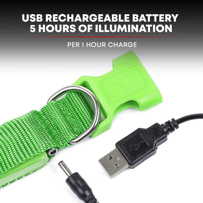 LED Dog Collar USB Rechargeable - Bright & High Visibility Lighted Glow Collar for Pet Night Walking - Weatherproof, in 6 Colors & 6 Sizes (Green Large)