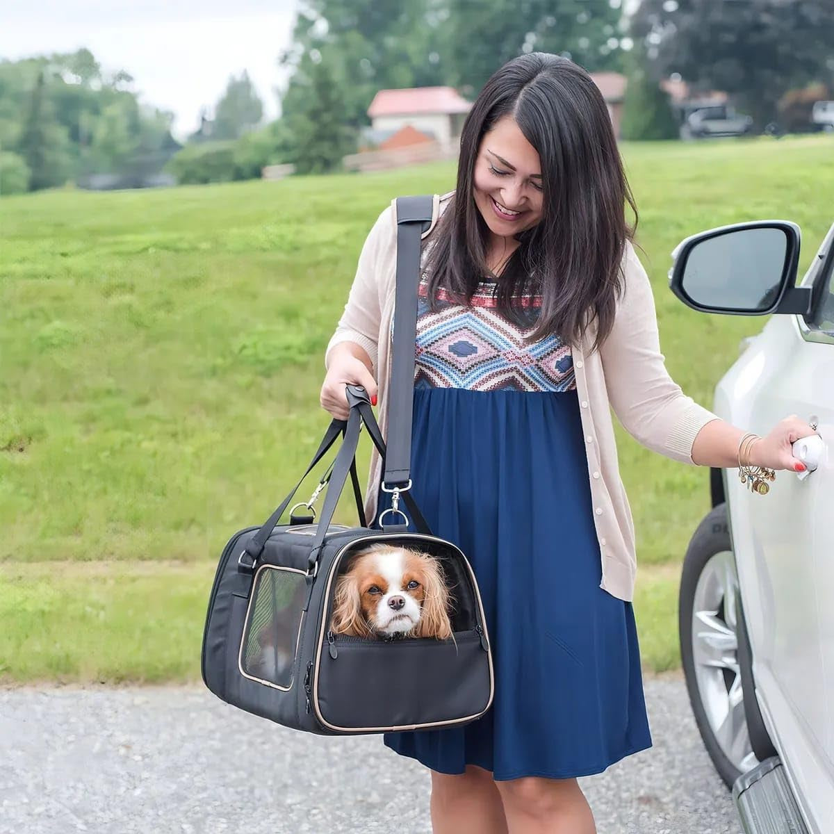 Commuter Pet Carrier & Car Seat Black