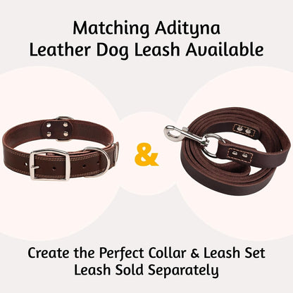 Heavy Duty Leather Dog Collar for Extra-Large Dogs, 22-30"