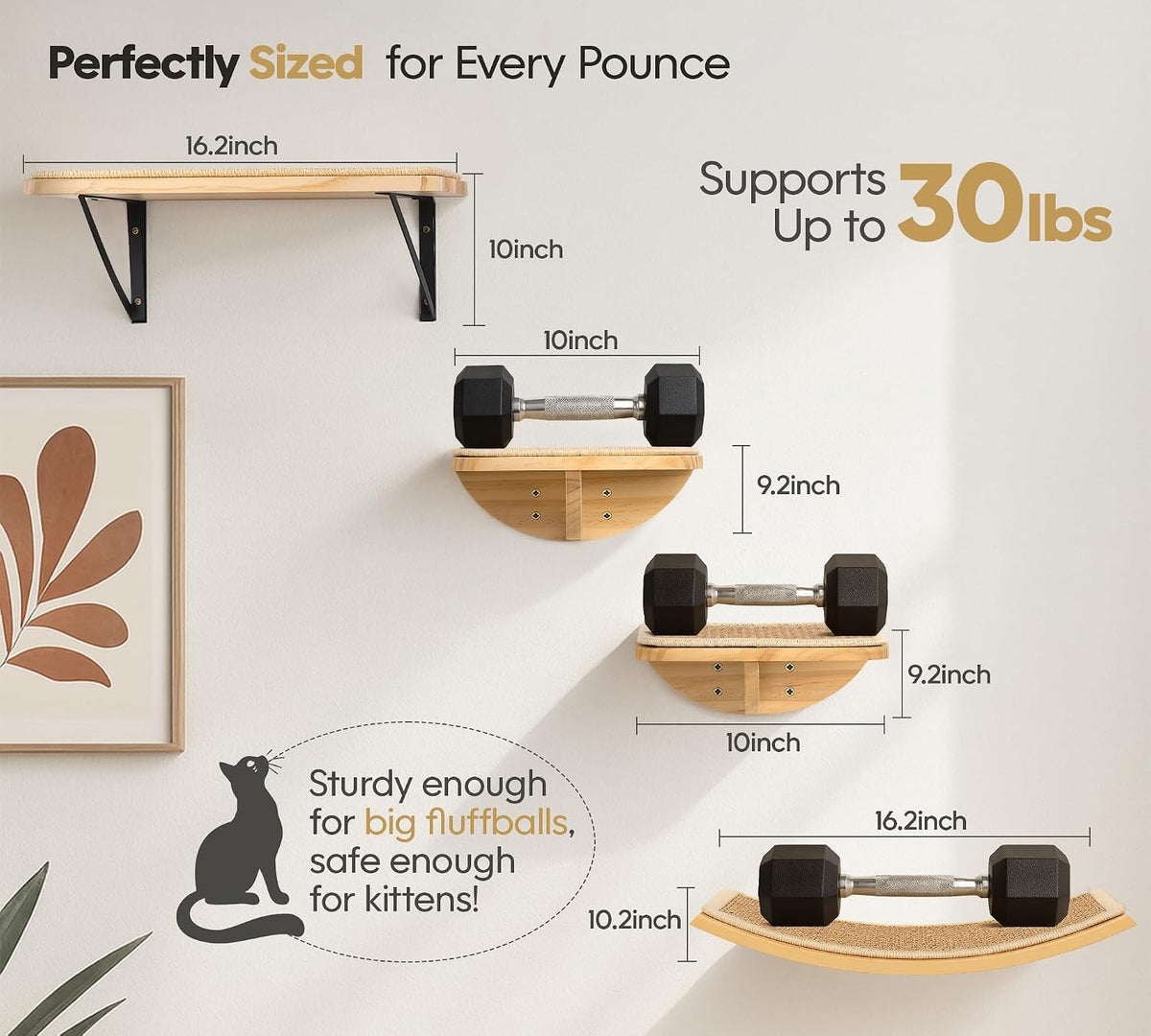 Cat Wall Shelves, Cat Window Perches with Curved Bed & 2 Sisal Mat Steps