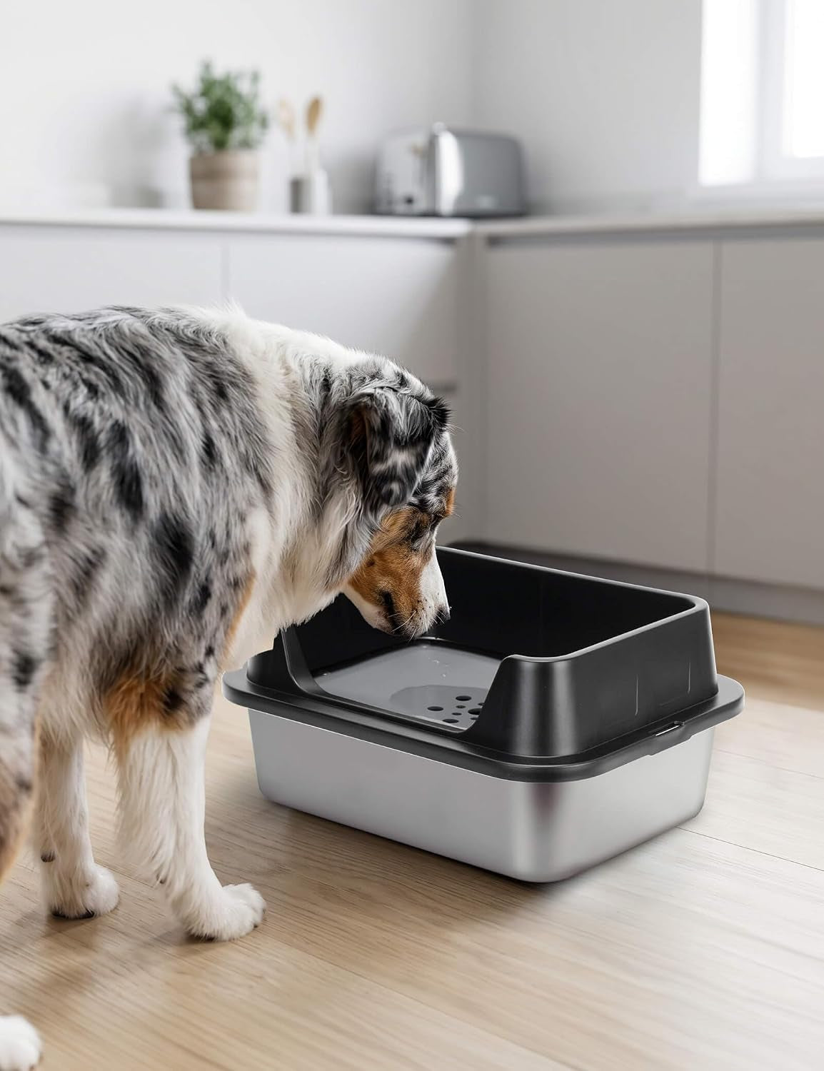 7L No Spill Dog Water Bowl with Splash Guard & Slow Drink Disk