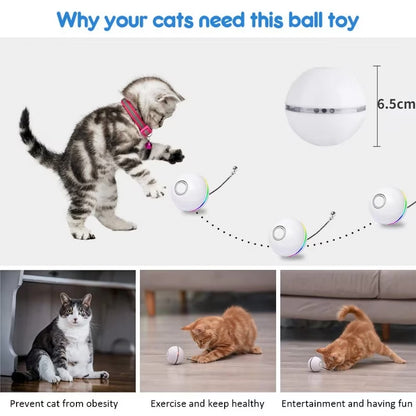 Interactive Cat Toy Ball, Automatic Rolling with LED Lights, Detachable Feather, Catnip, 360° Motion, for Indoor Pets, Grey