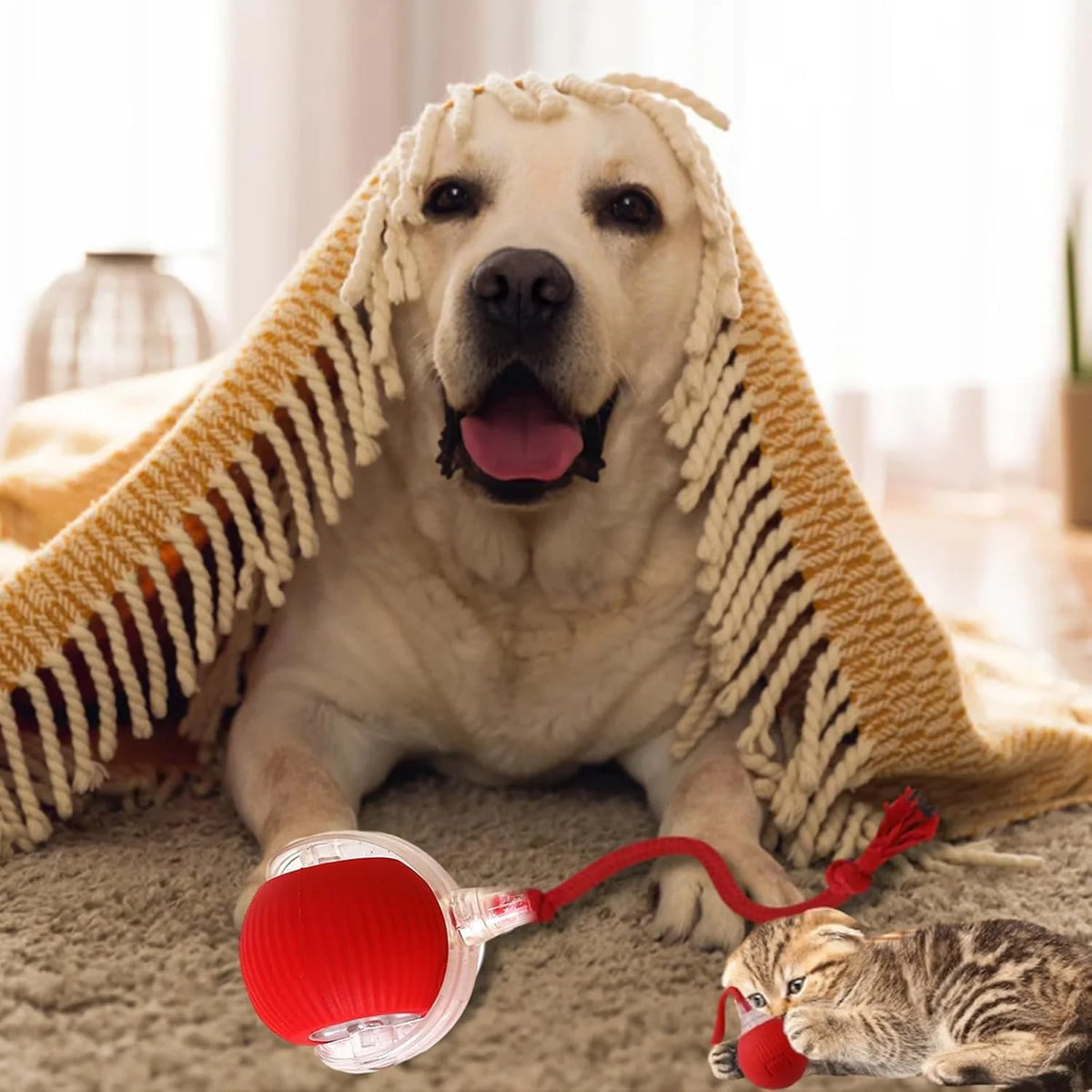 Chewie Ball, Chewie Viral Rolling Ball, Interactive Cat Ball Toy, Chewie Ball for Dogs, Chewie Smart Automatic Rolling Pet Ball, Automatic 360° Rotating Rolling Ball with USB Charging