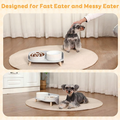 Elevated Slow Feeder Dog Bowls with Splash Proof Stand, Slow Eating 5X