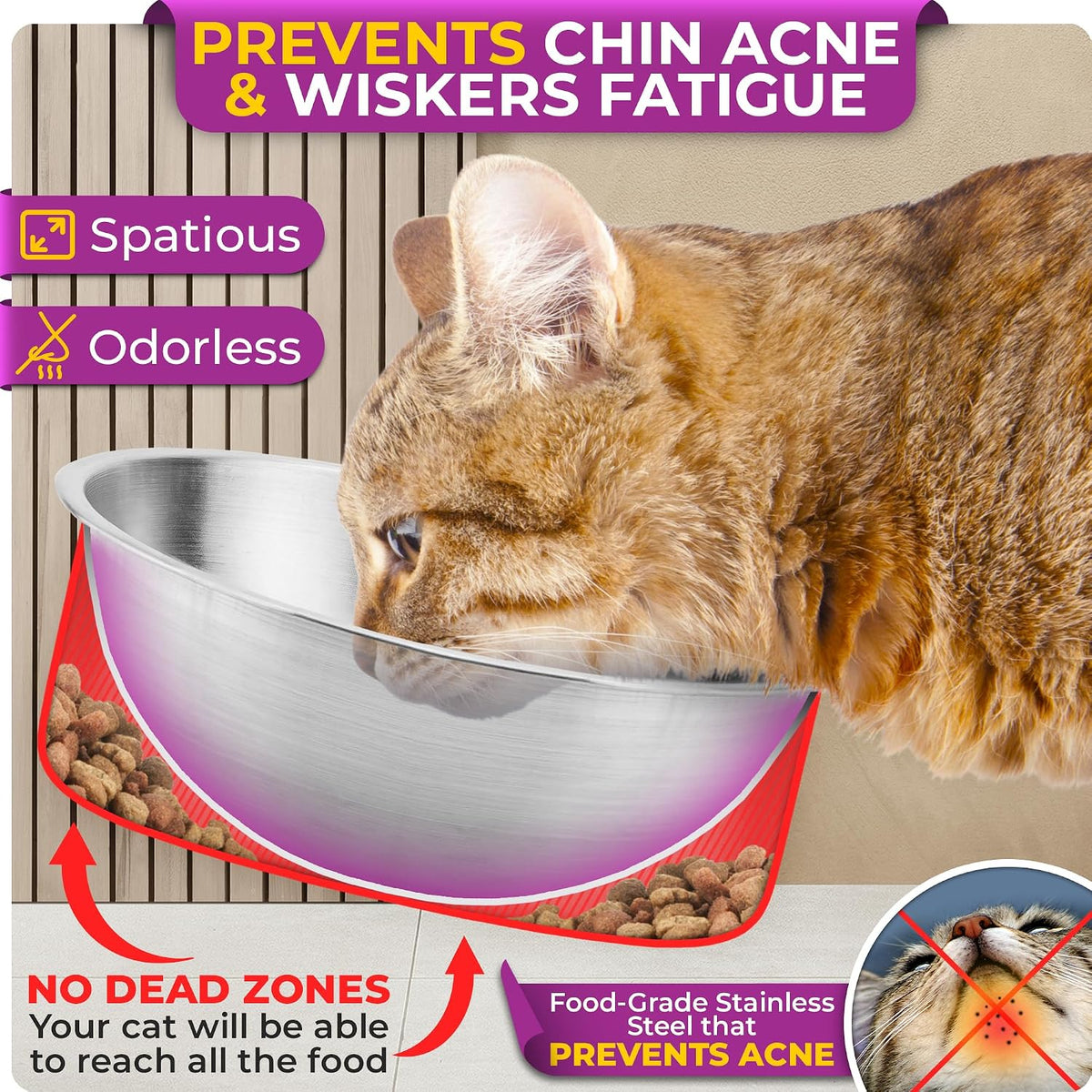 Raised Cat Bowls for Indoor Cats by , Elevated Cat Bowls, Tilted and Elevated anti Vomiting Cat Dishes for Food and Water, Set of 2 Stainless Steel Bowl