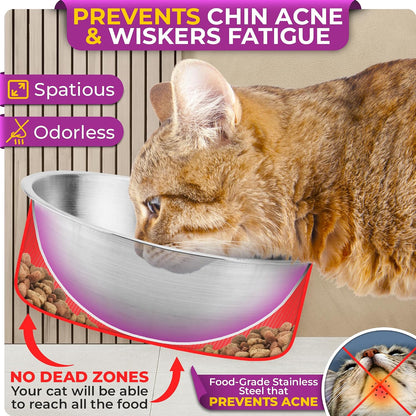 Raised Cat Bowls for Indoor Cats by , Elevated Cat Bowls, Tilted and Elevated anti Vomiting Cat Dishes for Food and Water, Set of 2 Stainless Steel Bowl