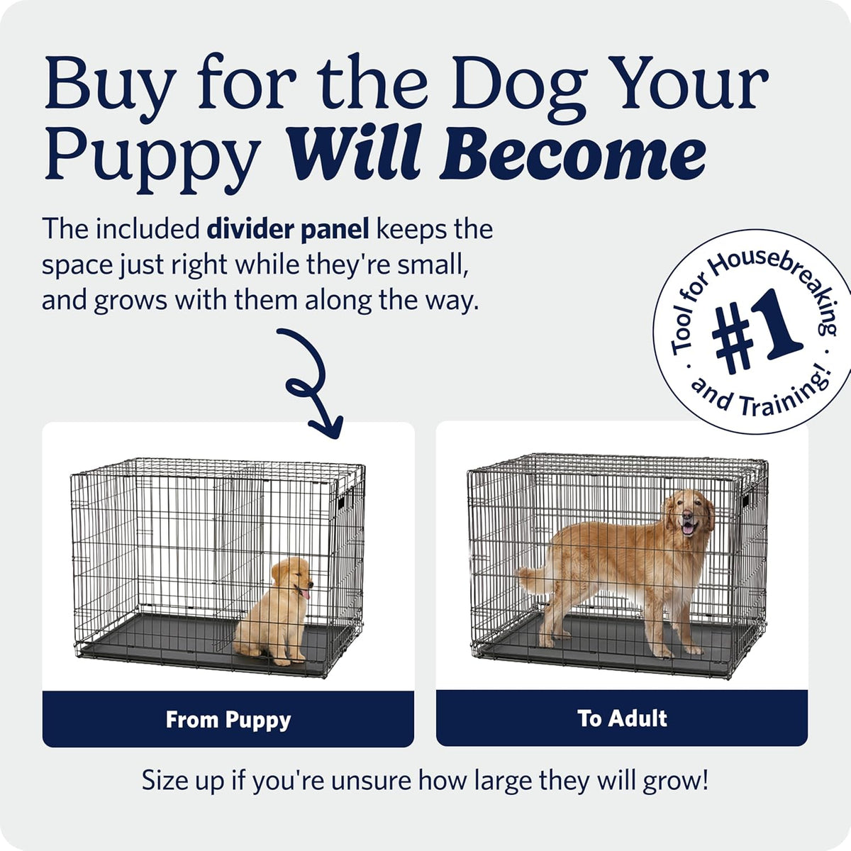 Midwest 24-Inch Single Door Icrate, for Small Breeds, 12-20 Lbs