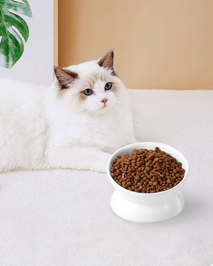 Elevated Cat Food Bowl, 5 Oz Ceramic Raised and Tilted Water Bowl