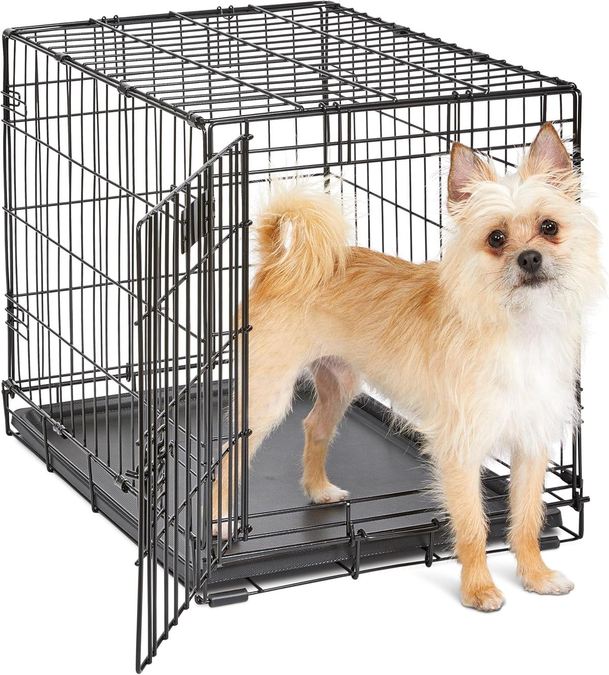 Midwest 24-Inch Single Door Icrate, for Small Breeds, 12-20 Lbs
