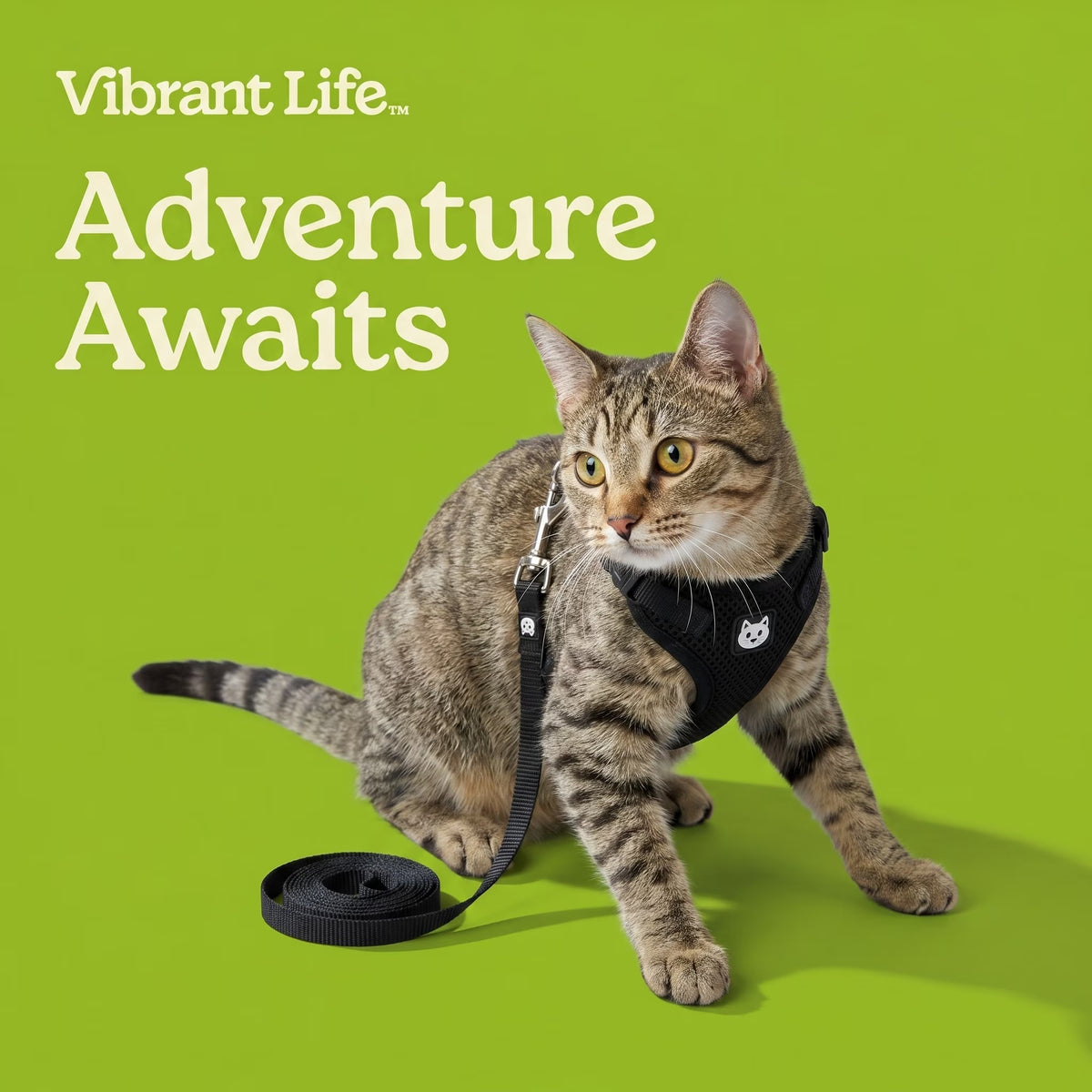 Adjustable Cat Harness and Leash Set, Black, One Size