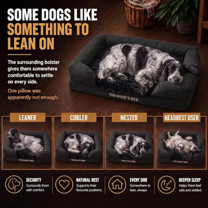 The Dog’S Bed Orthopedic Memory Foam Dog Bed with Bolsters for Medium Dogs