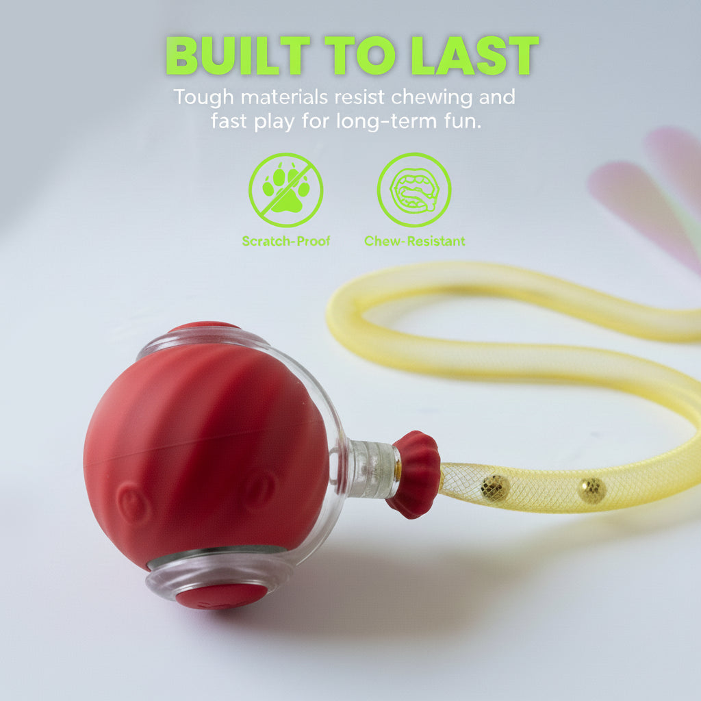 Automatic Rolling Ball for Cats – Rechargeable Smart Interactive Toy, Durable