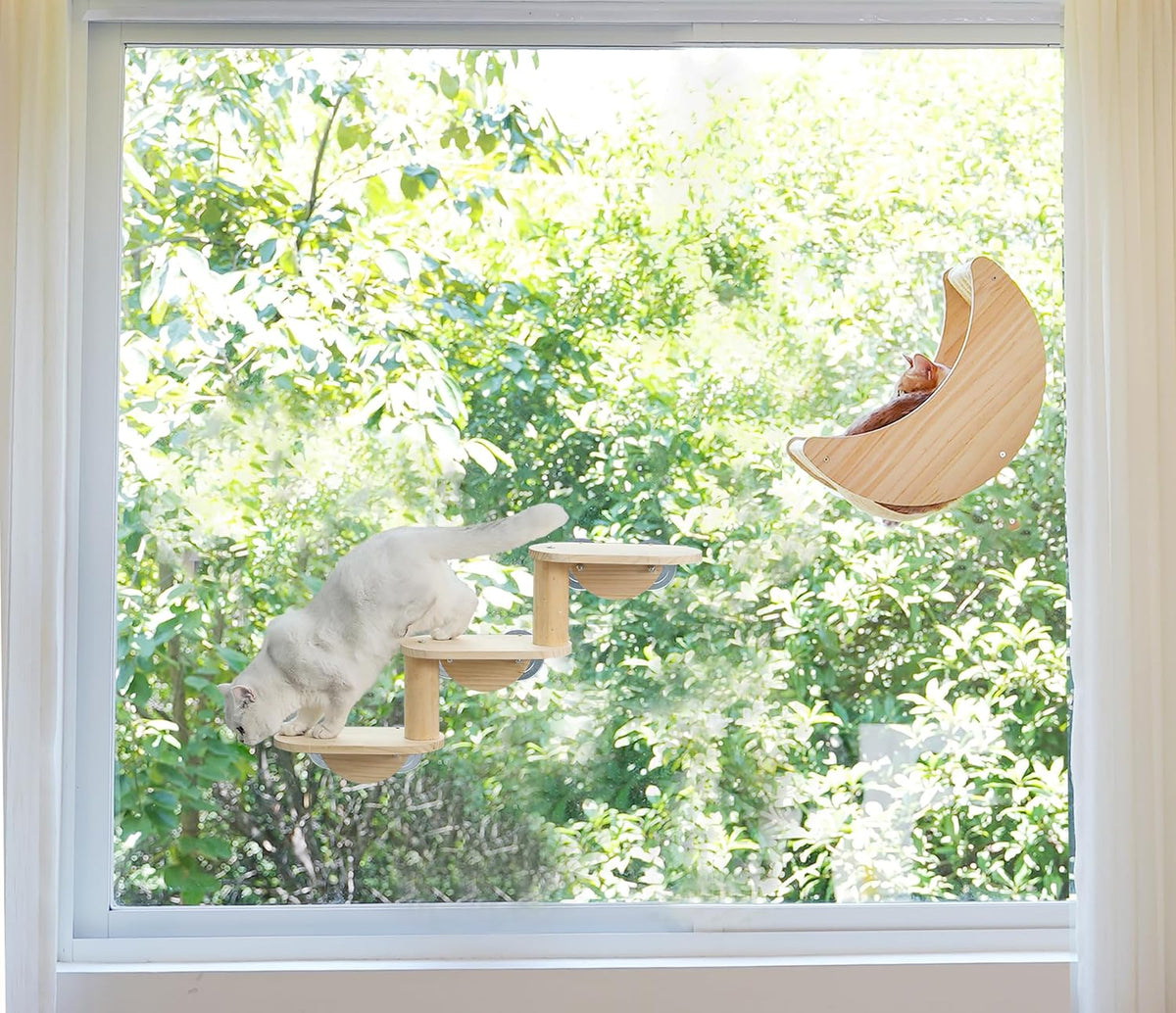 Cat Window Perch, Plywood Moon Bed with 4 Heavy-Duty Suction Cups