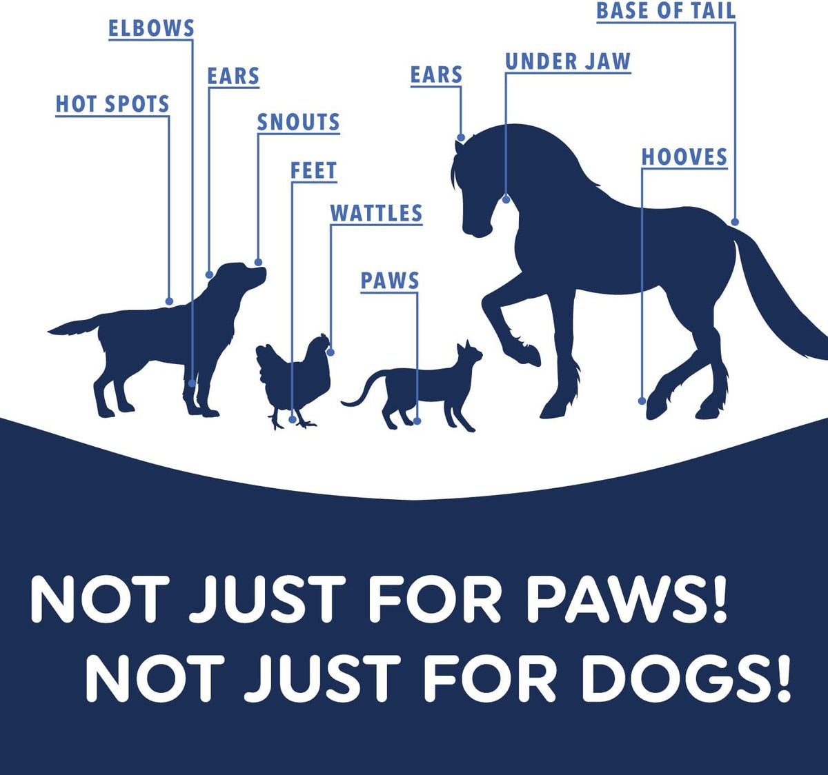 All-Natural Dog Paw Balm, All-Season Paw Protector, 60G