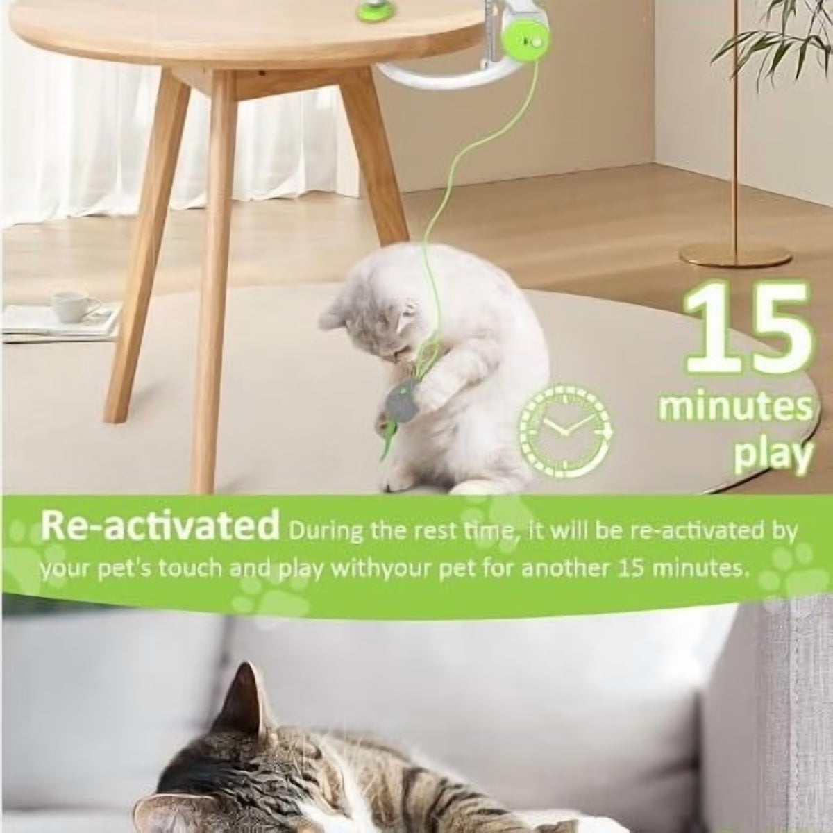 Interactive Pet Toy for Indoor Cats, Door Frame Hanging Cat Toy,Door Hanging Auto-Rebound Cat Toy, Retractable Kitten Teaser with 3 Catnip Mice