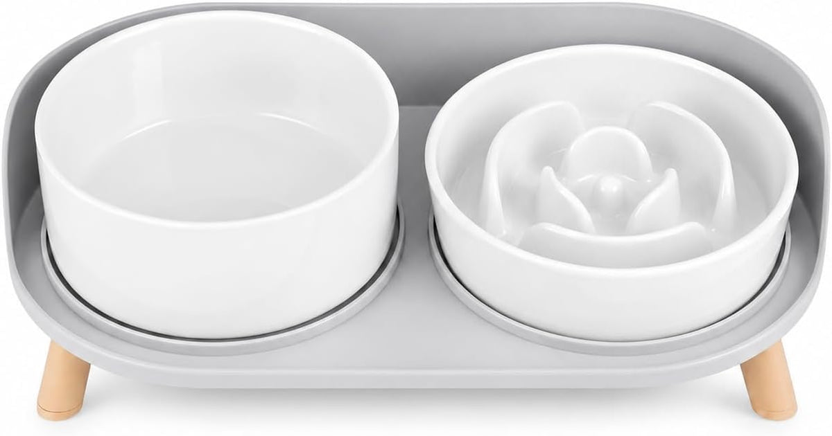 Elevated Slow Feeder Dog Bowls with Splash Proof Stand, Slow Eating 5X