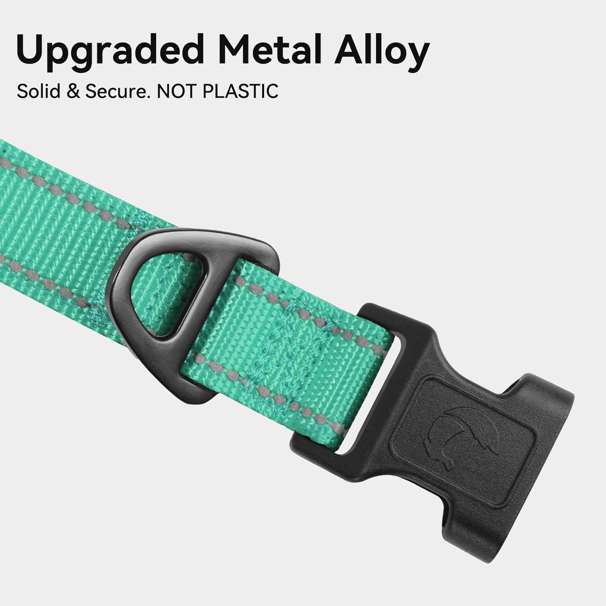 Reflective Dog Collar, Adjustable Neoprene Padded, Teal M
