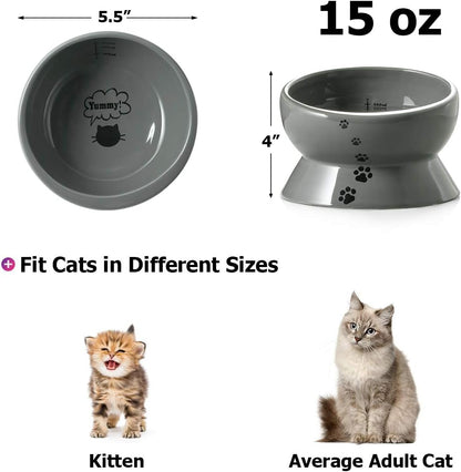 Elevated Cat Food Bowl, Raised Pet Food and Water Bowl, Ceramic, 15Oz