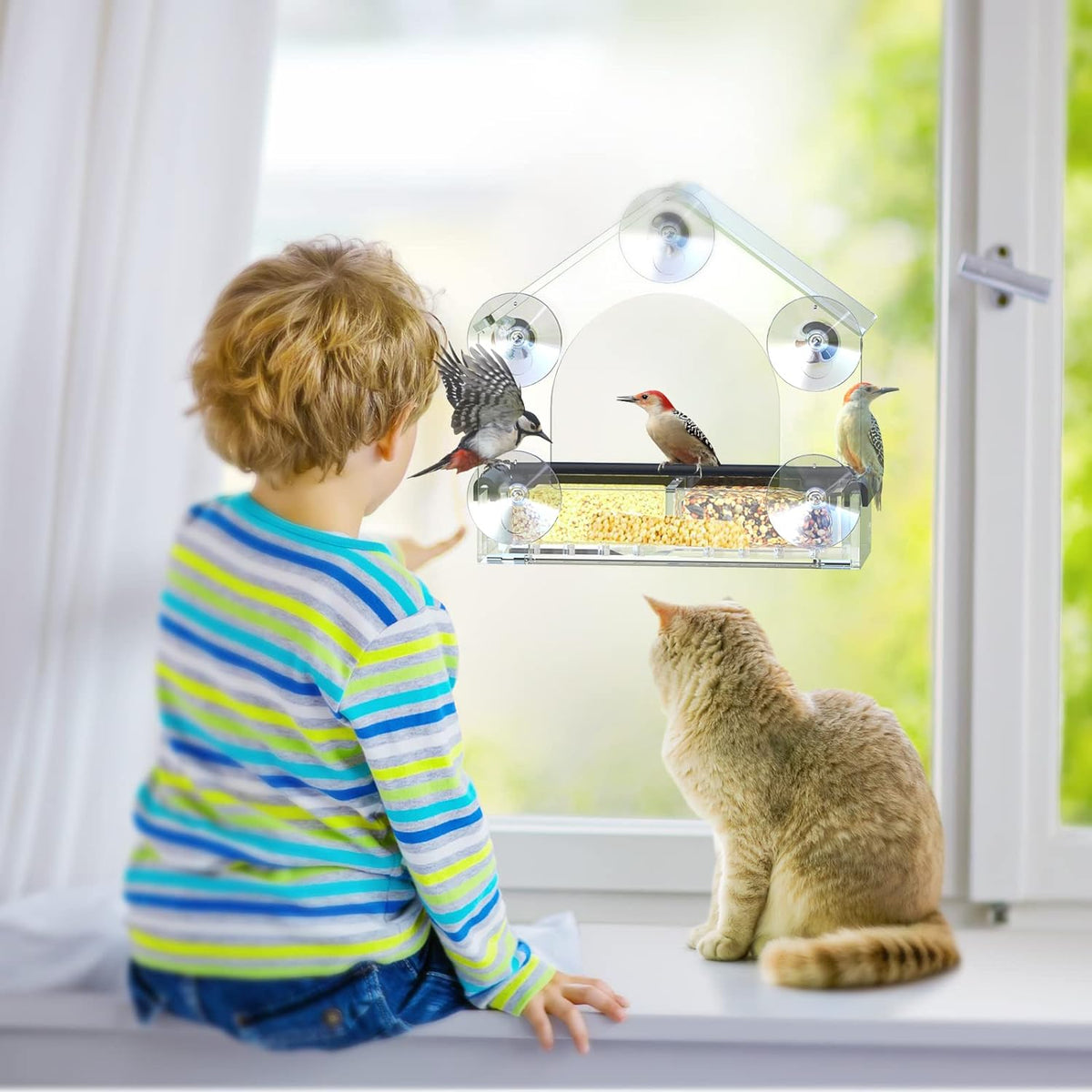 Clear Window Bird Feeder with 5 Extra Strong Suction Cups,  Sturdy and Durable Acrylic Birdfeeders for Viewing Wild Birds Outside, as a Bird Watching Gift, Outdoor Birdhouse Box, Garden Decor