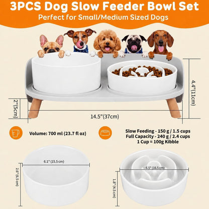 Elevated Slow Feeder Dog Bowls with Splash Proof Stand, Slow Eating 5X