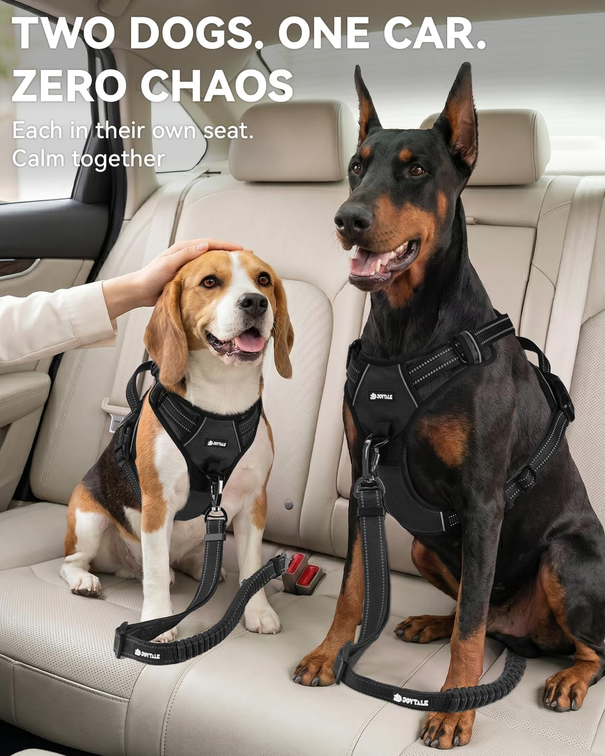 3-In-1 Bungee Dog Seat Belt for Car, Medium and Large Dogs, Black