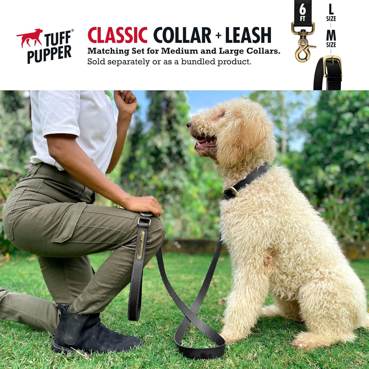 Heavy Duty Waterproof Dog Collar for Small, Medium & Large Dogs
