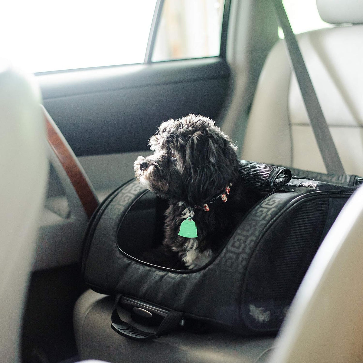 Dog Carrier - Medium Black Roller Bag Pet Carrier