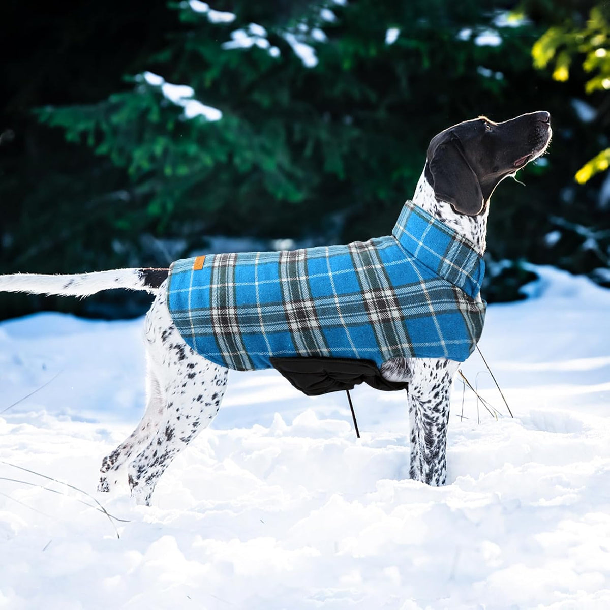 Waterproof Dog Coat, Warm Reversible Dog Jacket with Leash Hole