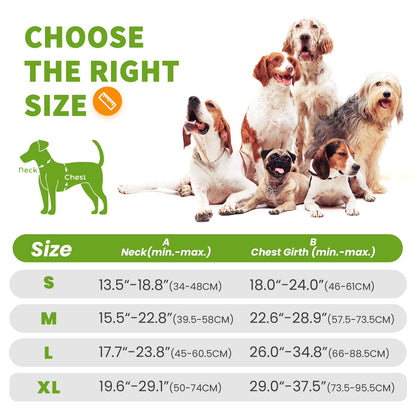 Reflective Dog Harness No Pull Dog Vest Harness with Handle,No Choke Adjustable Soft Padded Pet Vest for Small Dogs,Green Dog Galters