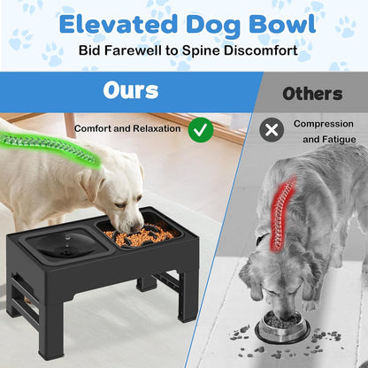 2-In-1 Elevated Dog Bowls, No Spill Water Bowl, Slow Feeder Food Bowl