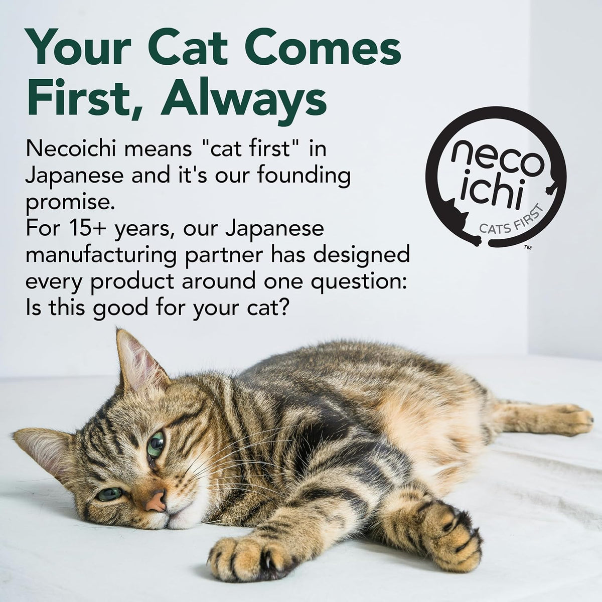 Necoichi Cardboard Cat Scratcher Bed for Indoor Cats - Cat Scratching Board, Horizontal Cat Scratch Pad Lounger with Reversible Usability and Extra Comfort for Lounge, Curved (18" Medium, Dark Cherry)