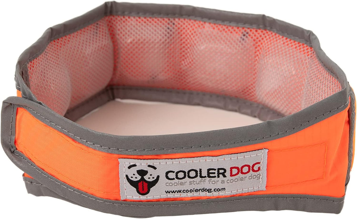 Hi-Vis Cooling Dog Collar for Medium Dogs – Reflective Re-Freezable Ice Collar for Hot Weather & Heat Relief (Orange, Medium)