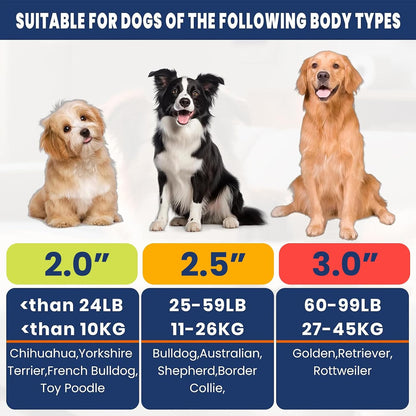 Colorful Tennis Balls for Dogs, 2.5 Inches, 16 Pack, Non Squeaky