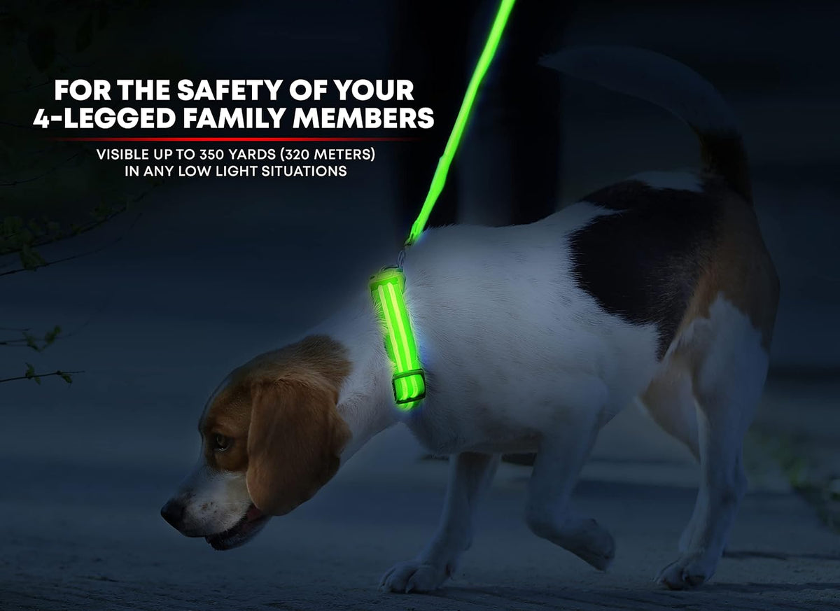 LED Dog Collar USB Rechargeable - Bright & High Visibility Lighted Glow Collar for Pet Night Walking - Weatherproof, in 6 Colors & 6 Sizes (Green Large)