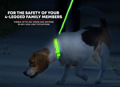 LED Dog Collar USB Rechargeable - Bright & High Visibility Lighted Glow Collar for Pet Night Walking - Weatherproof, in 6 Colors & 6 Sizes (Green Large)