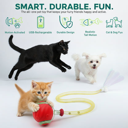 Automatic Rolling Ball for Cats – Rechargeable Smart Interactive Toy, Durable