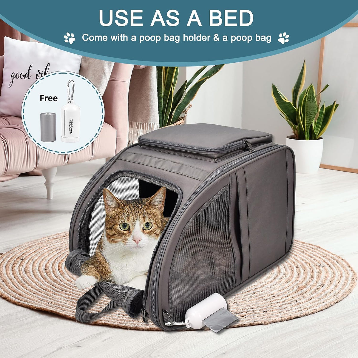 Pet Backpack Carrier for Small Dog, Soft Car Bed Ideal for Traveling