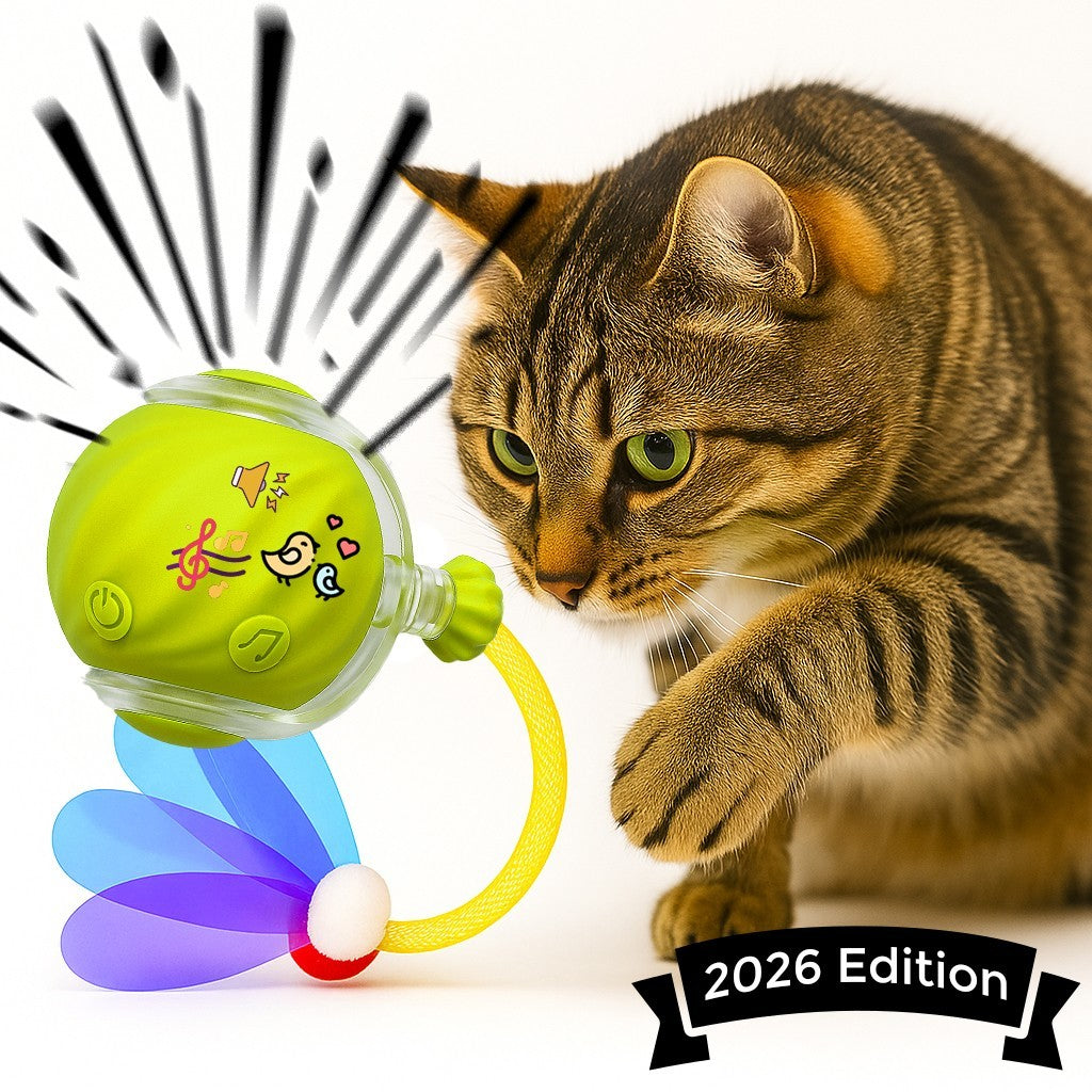 Automatic Rolling Ball for Cats – Rechargeable Smart Interactive Toy, Durable