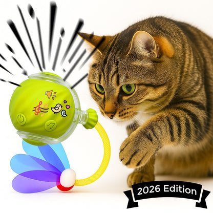 Automatic Rolling Ball for Cats – Rechargeable Smart Interactive Toy, Durable