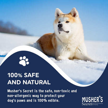 All-Natural Dog Paw Balm, All-Season Paw Protector, 60G