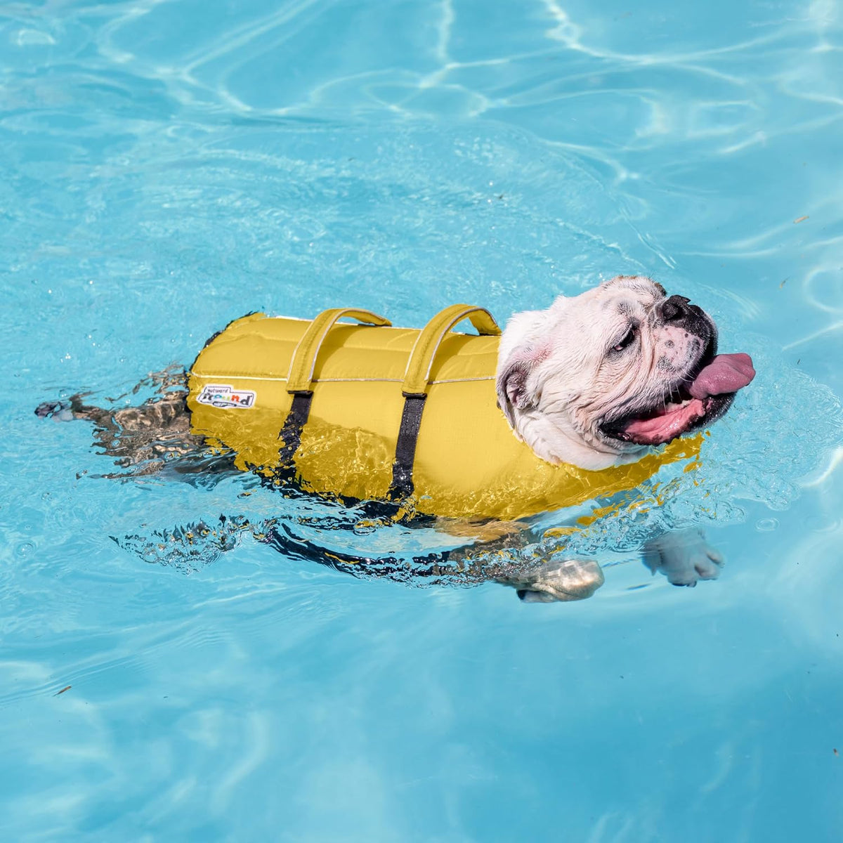 Granby Splash Dog Life Jacket, Life Vest, Yellow, Medium