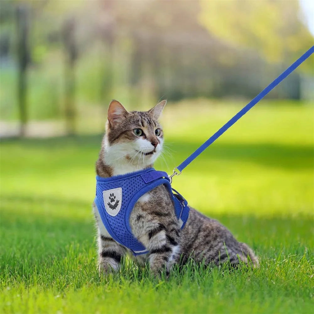 Cat Harness and Leash Set for Walking Cat and Small Dog Harness Soft Mesh Puppy Harness Adjustable Cat Vest Harness with Reflective Strap Comfort Fit for Pet Kitten Puppy Rabbit