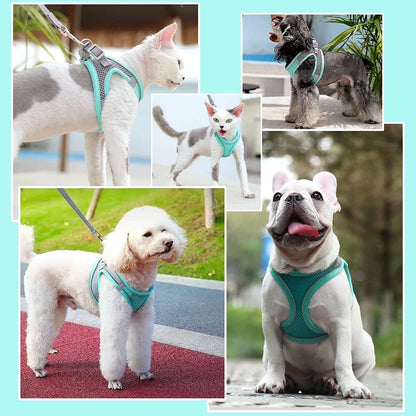 Cat Harness and Leash, Escape Proof Cat Vest Dog Walking Leash and Harness Set, Adjustable Step in Pet Harness, Reflective Breathable Easy Control Vest for Small Large Kitten Dog Outdoor, Green XS