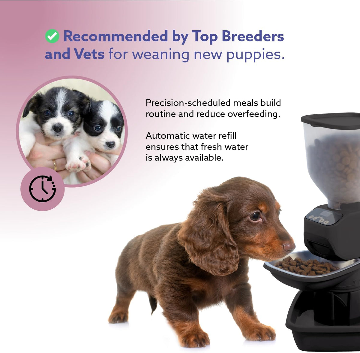 ® Automatic Dog & Cat Food Feeder with Water Dispenser, Smart Portion Control, OLED Display, Anti-Jam Design, Battery Operated, XS 4–15 Lbs Pets, Black